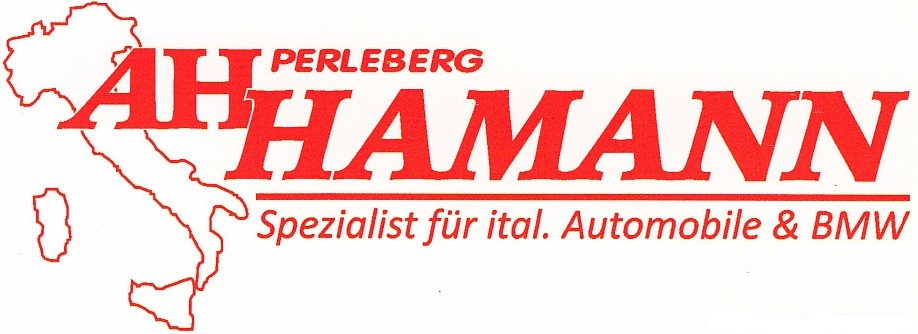 Autohaus Hamann: Ihre Autowerkstatt in Perleberg
